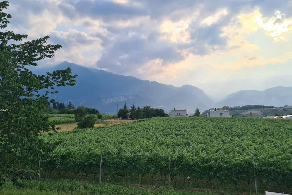 Appartamenti Moderni, Luminosi E Tranquilli Con Parcheggio Privato - Agritur La Tenuta Trento Eksteriør bilde