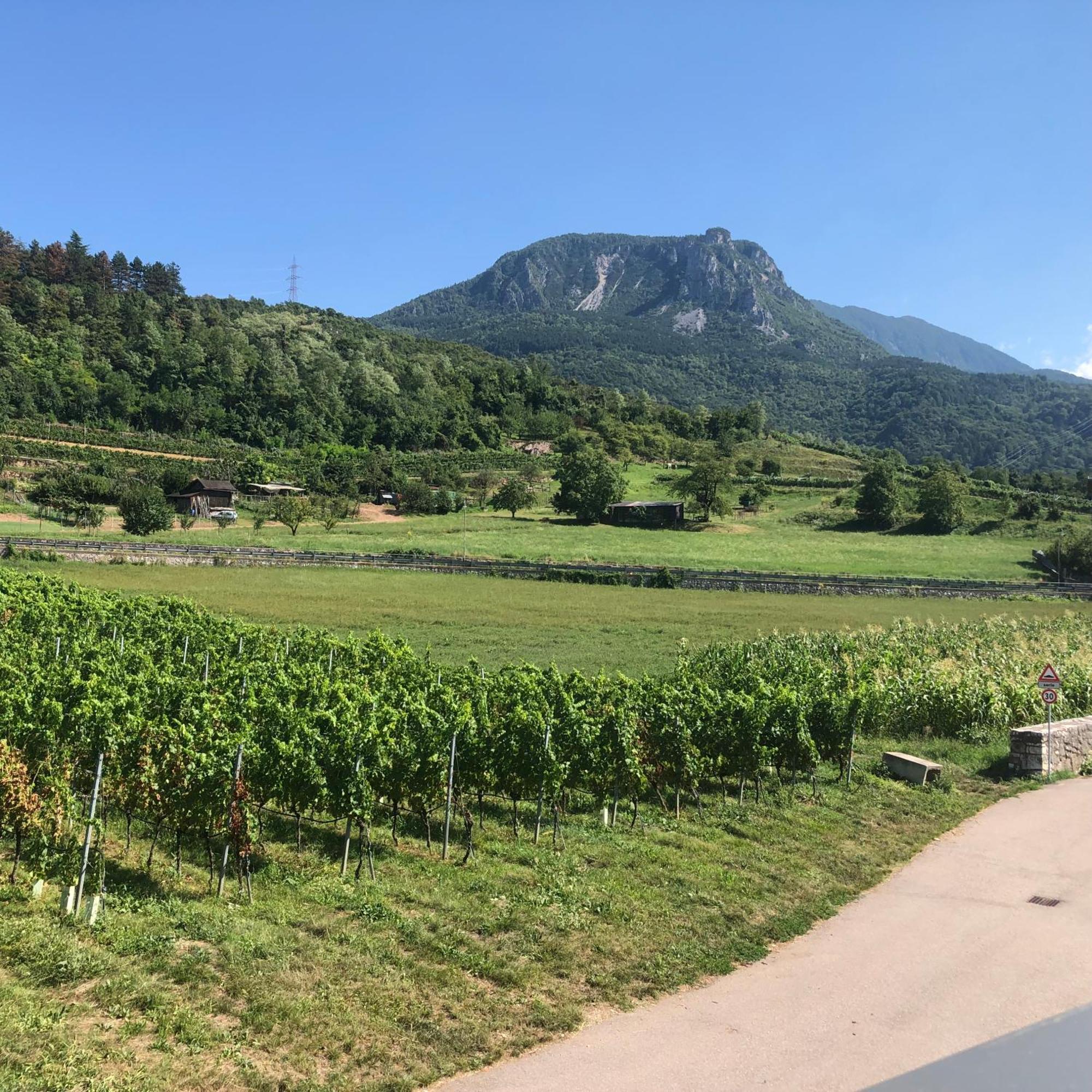 Appartamenti Moderni, Luminosi E Tranquilli Con Parcheggio Privato - Agritur La Tenuta Trento Eksteriør bilde